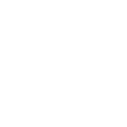 discreet